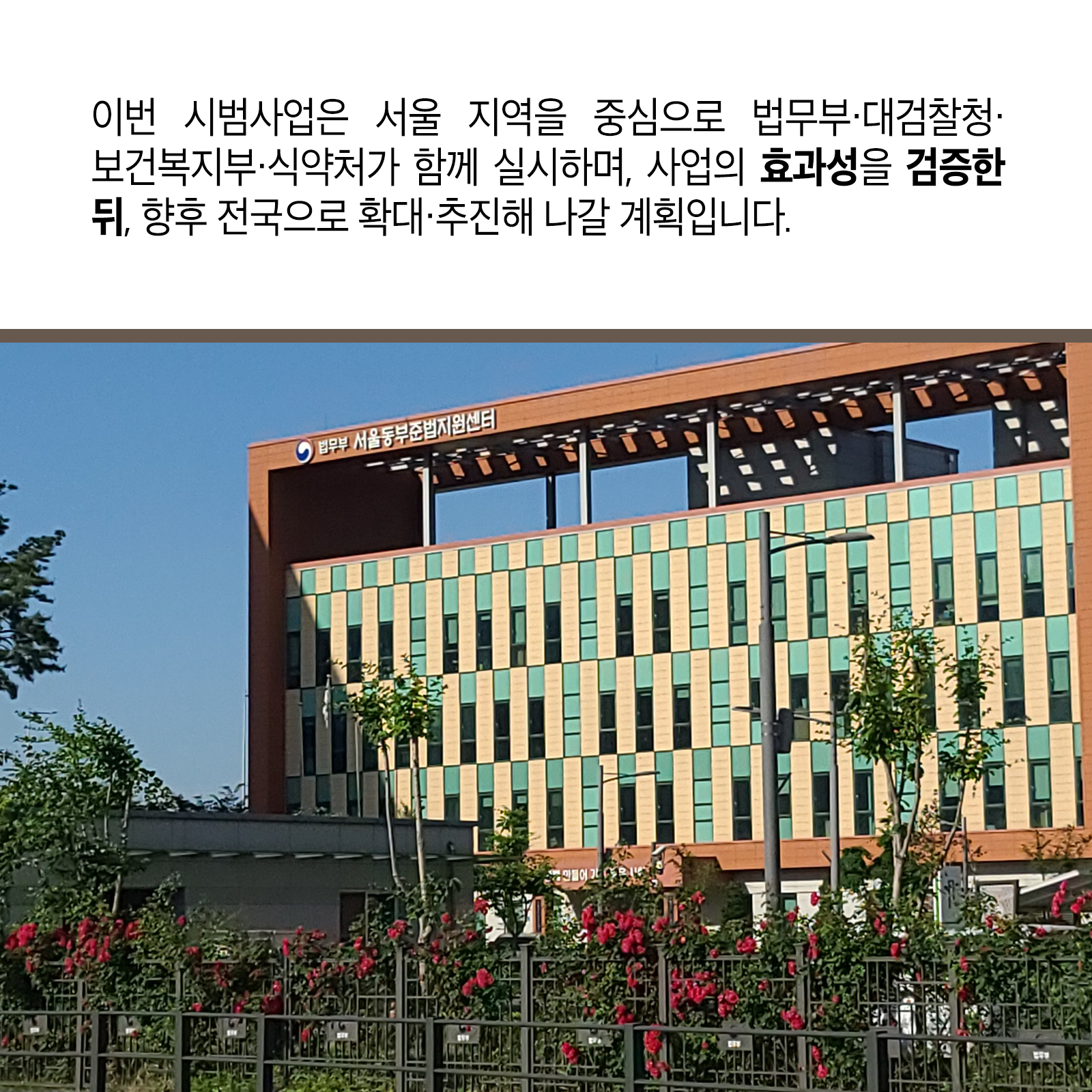 다섯 번째 카드뉴스입니다. 이번 시범사업은 서울 지역을 중심으로 법무부&middot;대검찰청&middot;보건복지부&middot;식약처가 함께 실시하며, 사업의 효과성을 검증한 뒤, 향후 전국으로 확대&middot;추진해 나갈 계획입니다.
